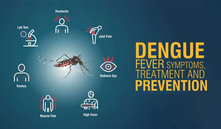Dengue Fever: A Complete Guide to Symptoms, Treatment, and Prevention